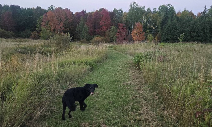 Aroostook Otro | Family/pet-friendly home on working farm. Country setting, yet close to town!