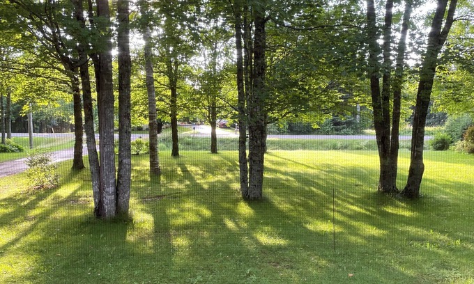 Meadowbank Casa | Family retreat close to Charlottetown