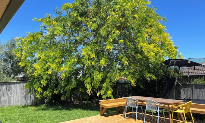 East Tamaki Casa | Family Retreat w/ Playground Views in East Tamaki