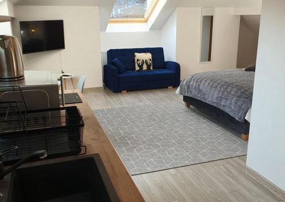 Sinaia Apartamento | FAMILY STUDIO