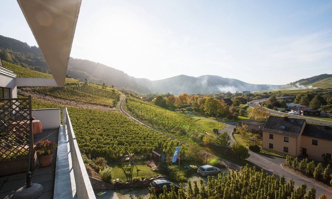 Senheim Apartamento | Mosel vista fantástica desde el apartamento "Pinot Noir Gabinete", Cochem