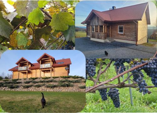 Gruszow Apartamento | Fantastic View Vineyard Beskid Mountains