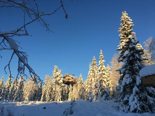 Ringsaker Otro | Faråsen Luxury Treetop Cabin - Sleep Among the Trees