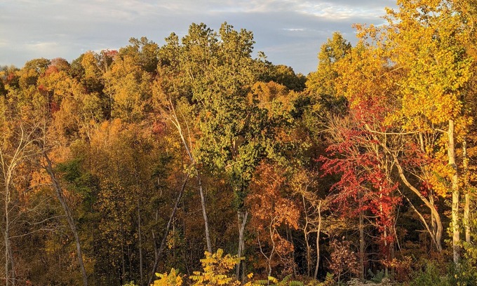 Whites Creek Apartamento | Farm Apartment - 10 minutes to downtown Nashville