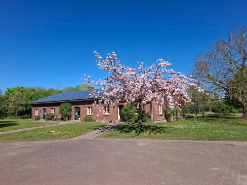 Schildetal Apartamento | Farm-Chalets Apartment Park