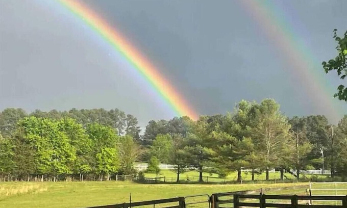 Pittsboro Apartamento | Farm House Garden Apartment, peaceful vibe and views.