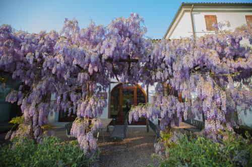 Saletto-San Bartolomeo Hotel | FARM HOUSE