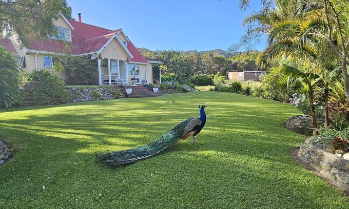 Pakawau Otro | Farm house with sea views & native bush, fishing, kayaking, bird lovers haven.