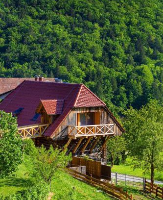 Lasko Casa | Farm Stay Pirc - Hayloft Apartment