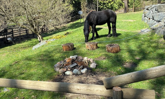 Sardis Otro | Farm Therapy in a beautiful setting. Pet friendly.