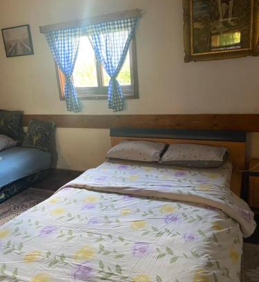 Mali Radic Casa | Farma 2