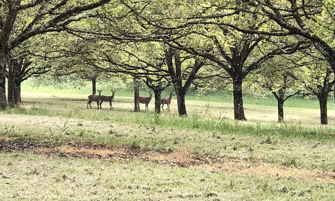 Marcillac-Saint-Quentin Casa | casa de campo en el corazón de la naturaleza, un verdadero remanso de paz