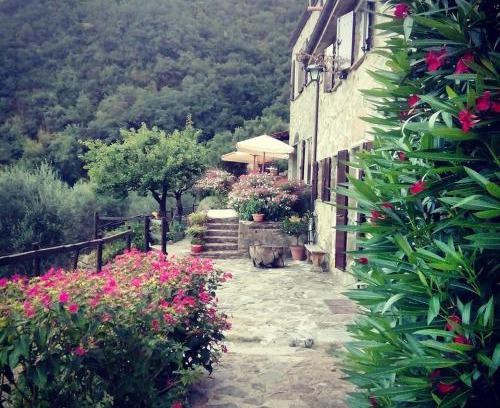Ne Cama Y Desayuno | Farmhouse B&B Castagnola 64