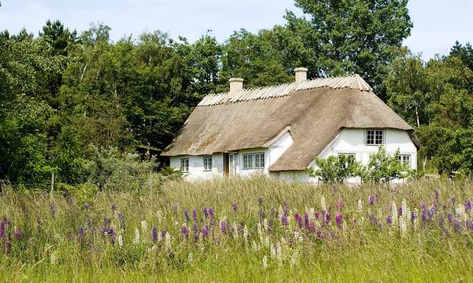 Busene Cabaña | Casa de campo en Møns Klint