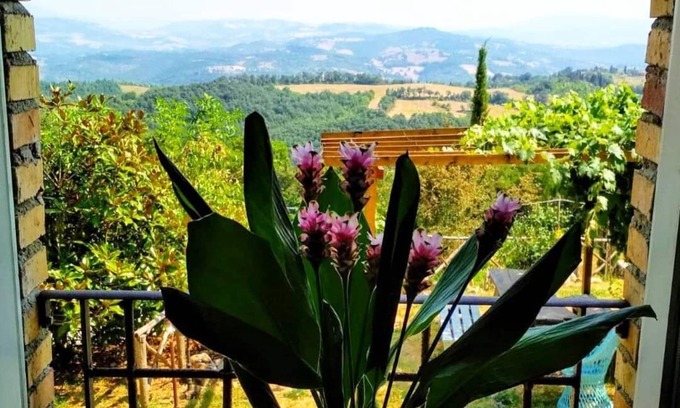 Monteluiano Otro | FARM MONTESALCE-APARTAMENTO AMARILLO