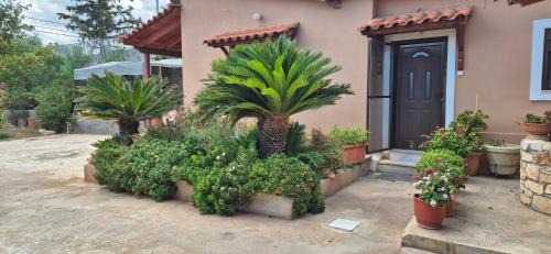 Paiania Apartamento | FarmHouse near Airport
