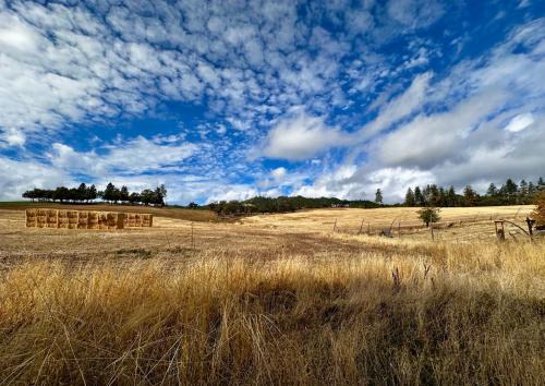Medford Casa | Farmhouse Rv - Sunset Pergola - Fire Pit - Views