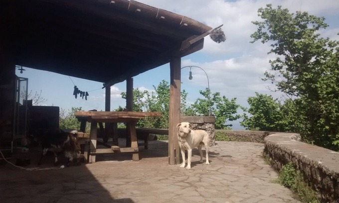 Sant'Alfio Otro | Cortijo la caraffara de la agricultura hasta 800 en piedra