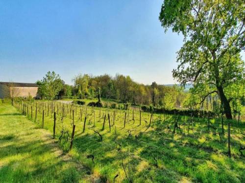 Thenon Casa | Farmhouse with private pool, large garden and playground
