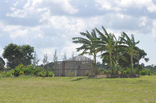 Galu Otro | Farming In Rhythm