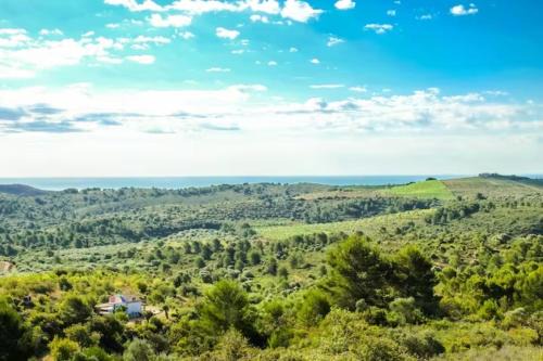 Vilanova d'Alcolea Casa | FARMSKY 2 Double or Triple Room at WILDSPIRIT Eco Farm
