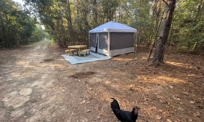 Tallahassee Alquiler De RV | Farmstay- Buckbeak1 Tent/ScreenRoom