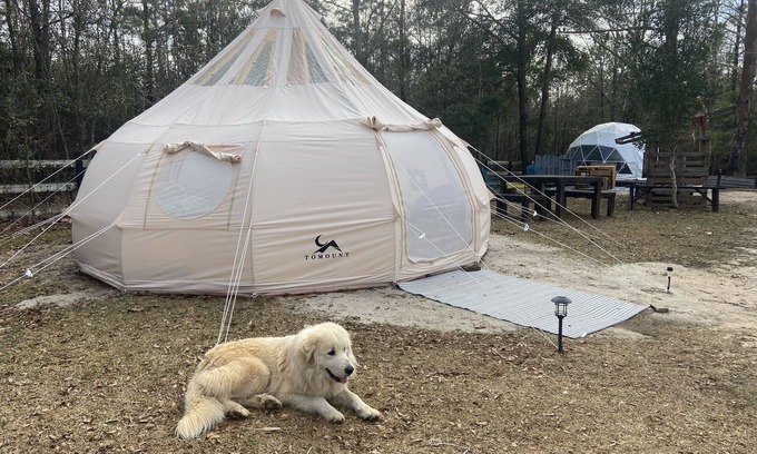 Tallahassee Alquiler De RV | Farmstay Glamping AGRItourism retreat-HERSHEYS HUT-cows, chicks, goat, minihorse