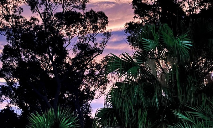 Batemans Bay Apartamento | Farmstay with inground pool and entertainment area