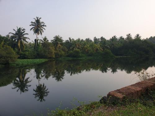 Kozhikode Casa | Farmville Riverside