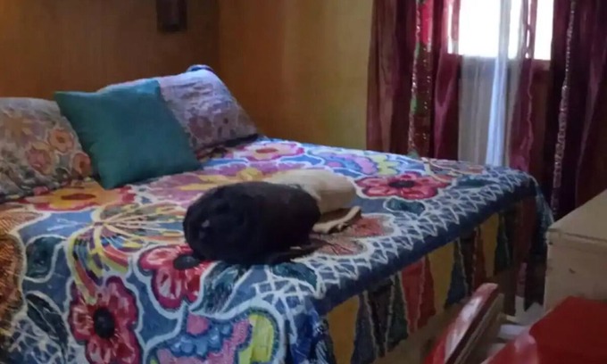 Costa Bela Apartamento | Fato Marrok