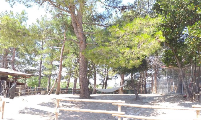 Montecarotto Otro | fattoria country village