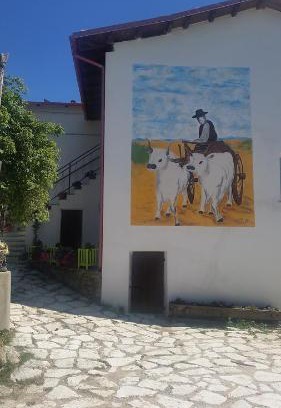 Ascoli Piceno Casa | Fattoria la Cona