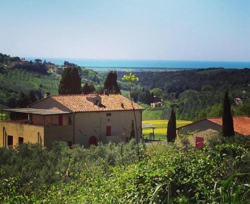 Casale Marittimo Apartamento | Fattoria Podere i Luoghi