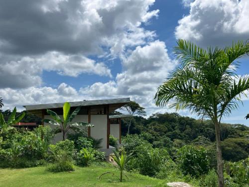 Aritagua Cabina | Fazenda 101