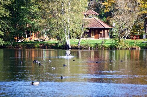 Schontal Apartamento | Felsenland-Apartment