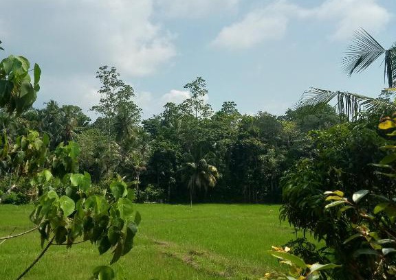 Baddegama Casa | FENDI eco lodge