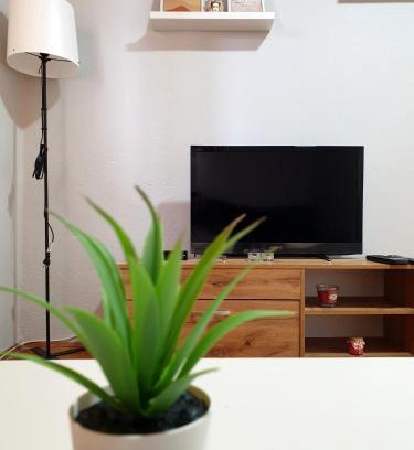 Zajecar Apartamento | Fenix Apartman