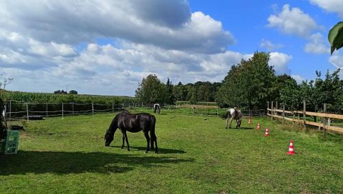 Winsen an der Aller Apartamento | Fenland Mill Ranch
