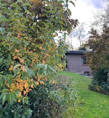 Wildeshausen Apartamento | Ferien ind Monteur Wohnung Maiglöckchen mit 2 Schlafzimmern
