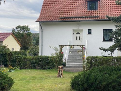 Neinstedt Apartamento | Ferienhaus am Mühlgraben