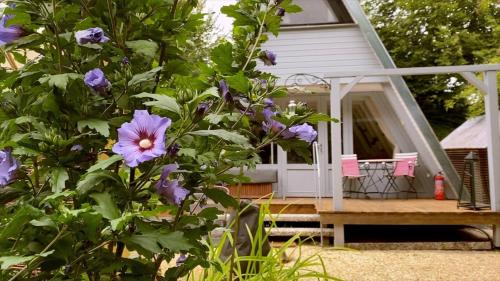 Billerbeck Casa | Ferienhaus am Waldrand
