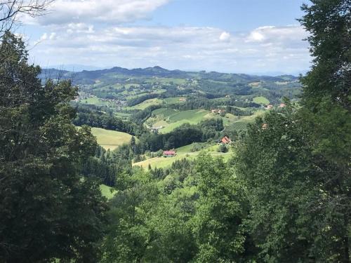 Fotschach Casa | Ferienhaus am Weinberg