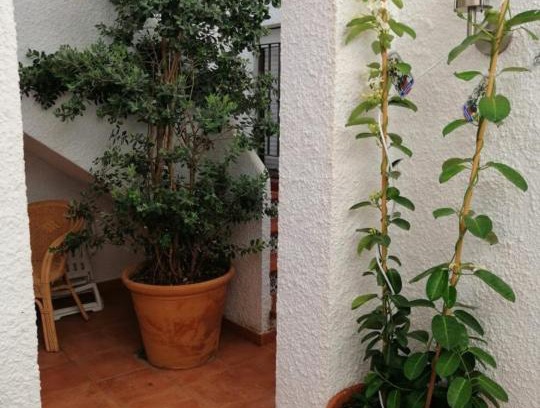 Urbanizacion Costabella Casa | Ferienhaus Costa del Sol , Marbella, mit Meerblick & Pool, 500 m zum Strand
