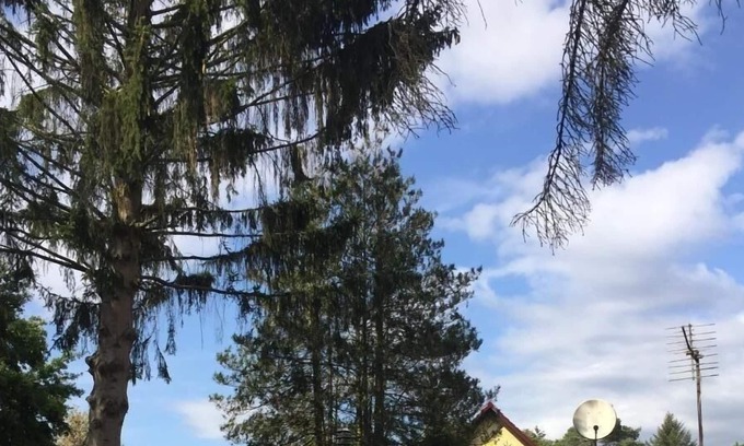 Oberhavel Casa | Ferienhaus für 2 Gäste mit 40m² in Oranienburg
