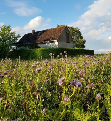 Oberhavel Casa | Ferienhaus Gransee unmittelbar am Stechlinsee - Radweg