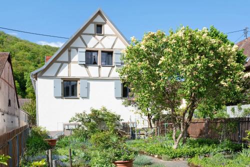 Badenweiler Casa | Ferienhaus Hildahüsli
