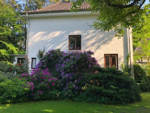 Hodenhagen Casa | Ferienhaus Hudemühlen
