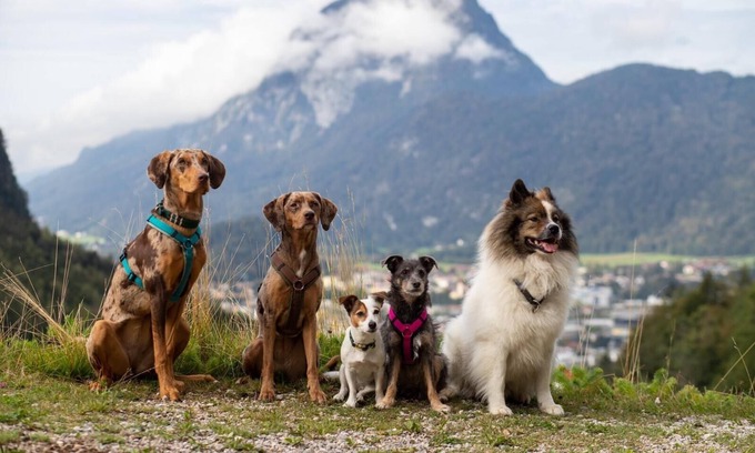 Kiefersfelden Casa | Ferienhaus Kaiserblick 125 qm für Max. 6 Personen und 3 Hunde