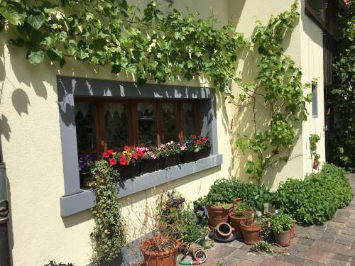 Andelfingen District Casa | Ferienhaus mit Naturgarten