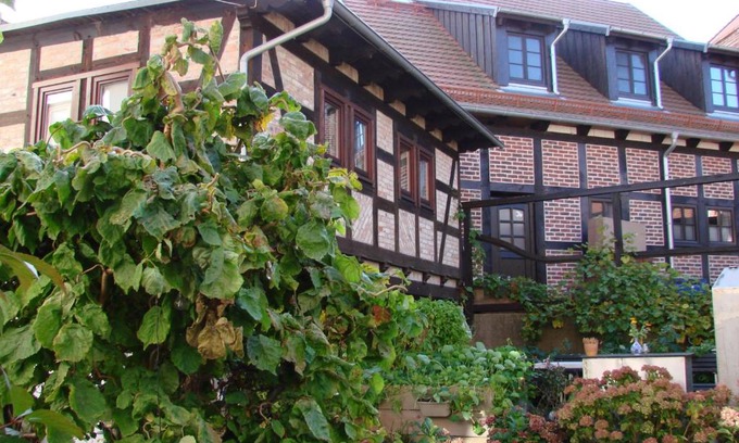 Wolgast Apartamento | Ferienhaus Sontag